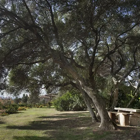 Felix - Country Parco Degli Ulivi 4* Arzachena