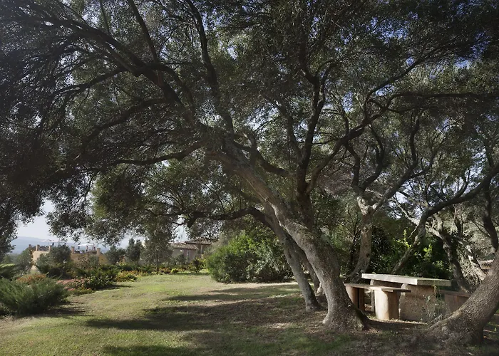 Felix - Country Parco Degli Ulivi 4* Arzachena